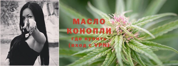 тгк Лагань