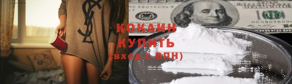 тгк Лагань