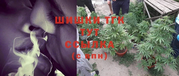 тгк Лагань