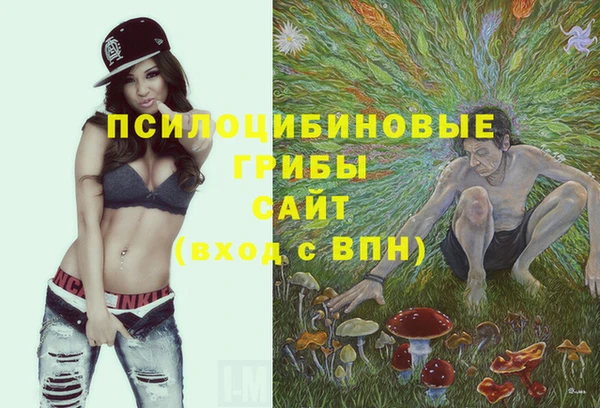 тгк Лагань