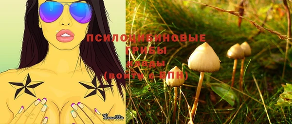 стаф Лабытнанги