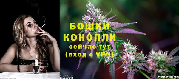 тгк Лагань