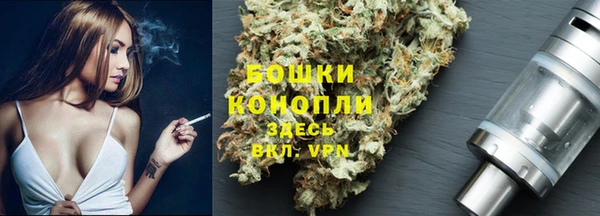 тгк Лагань